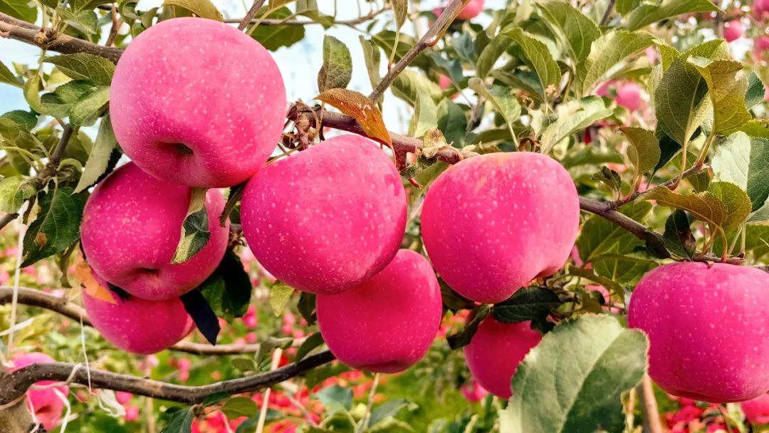 202310181697615326416986.jpg f78271c01d08fed67bdb86a9b0270f99.jpg