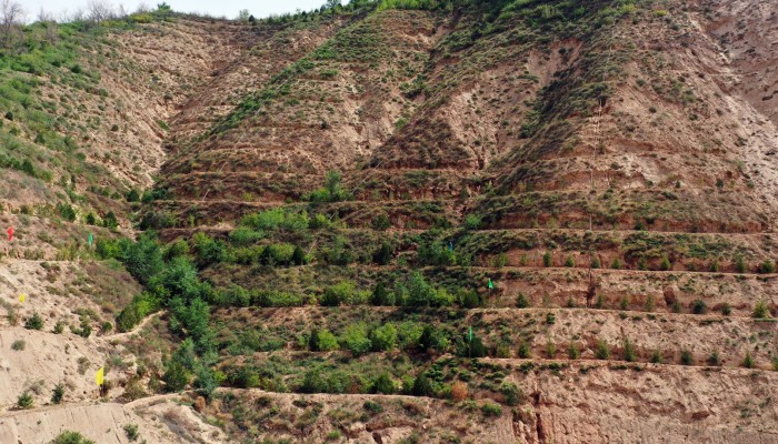 甘肅建投積極投身兩山綠化工程