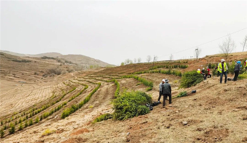 640 (4).jpg 640 (4).jpg